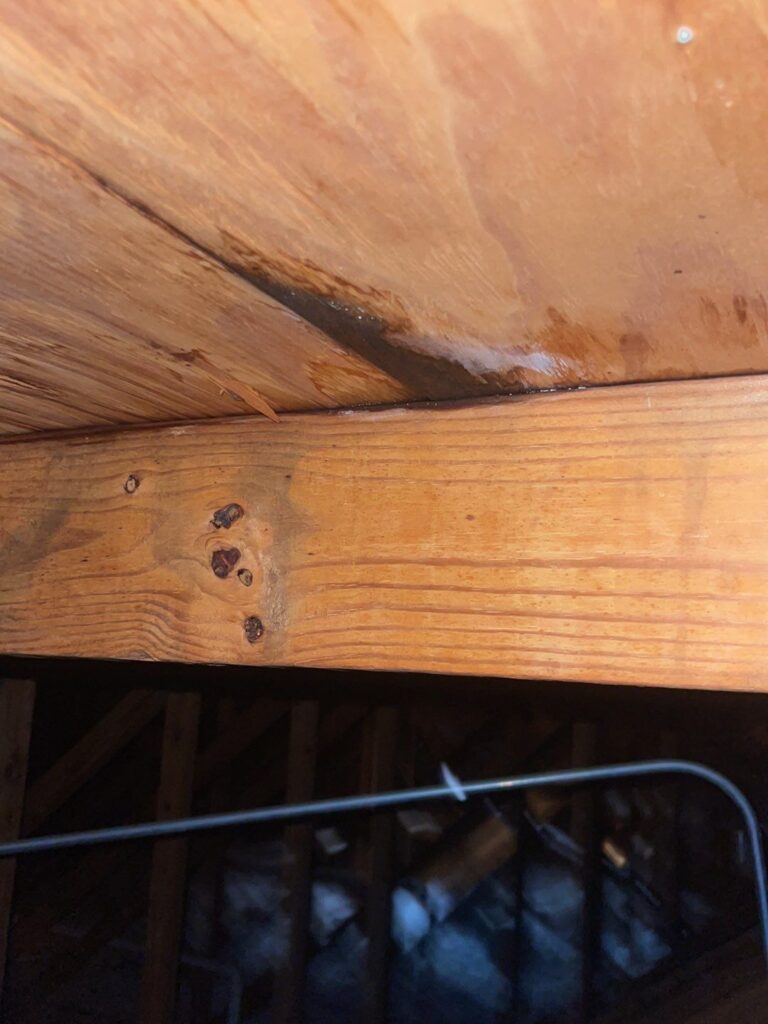 attic leak