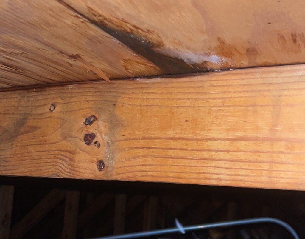 attic leak